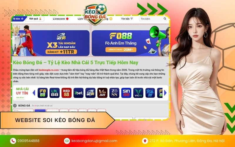 Website soi kèo bóng đá ormex.com.co